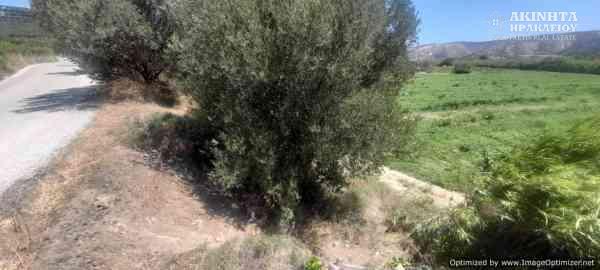 εικόνα_Viber_2025-07-10_14-19-48-331.jpg